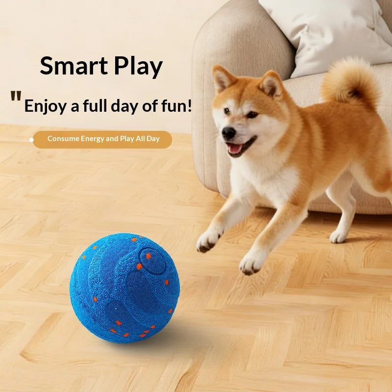 Smart Rolling Dog Ball-USB Rechargeable
