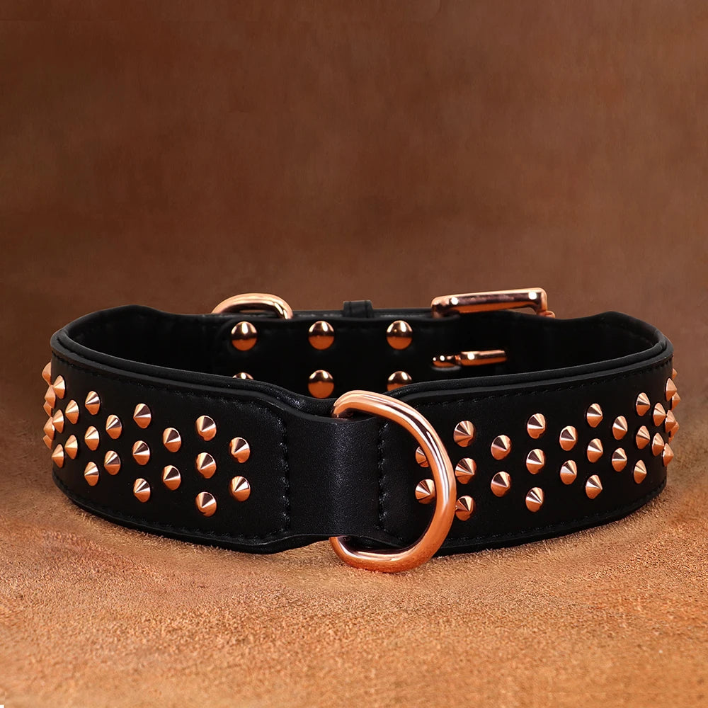 Studded Leather Dog Collar