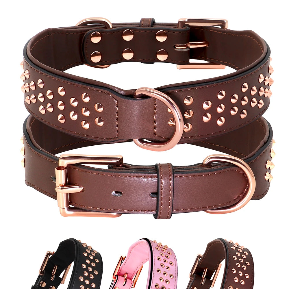 Studded Leather Dog Collar