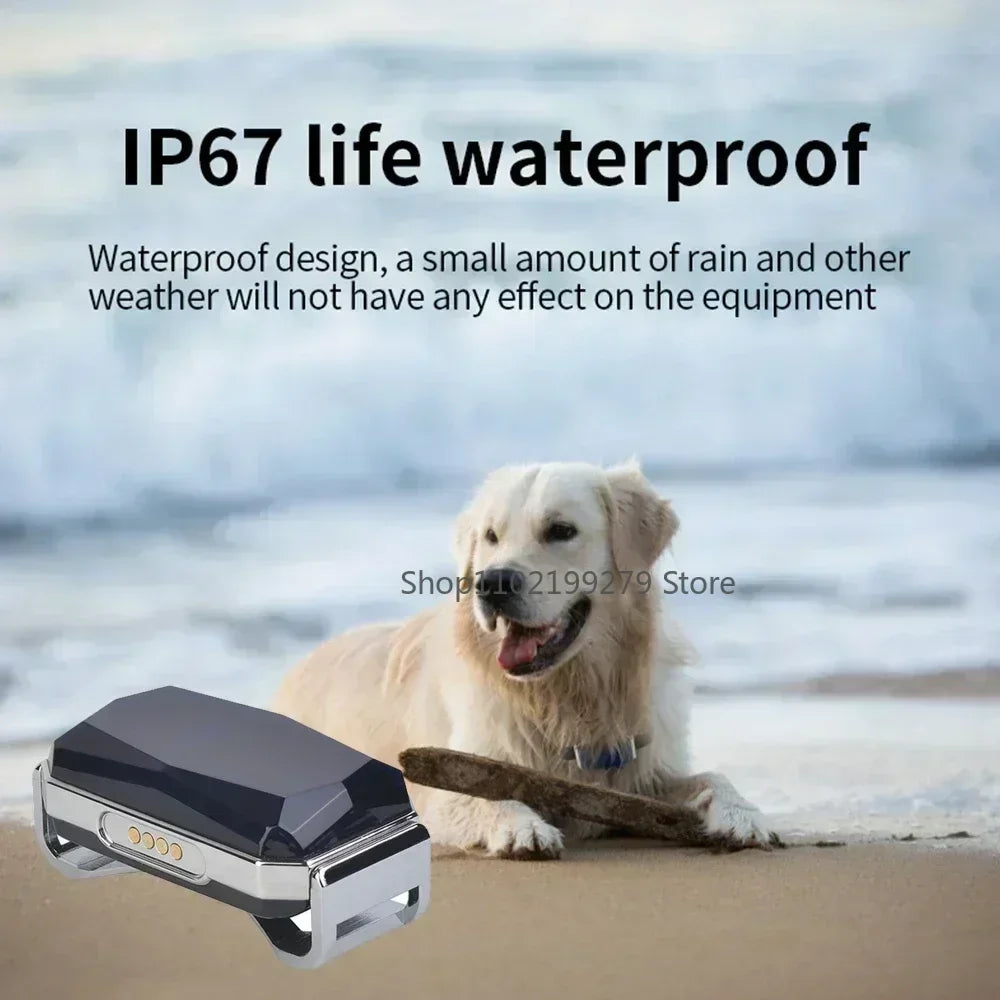 Pet GPS Tracker Collar