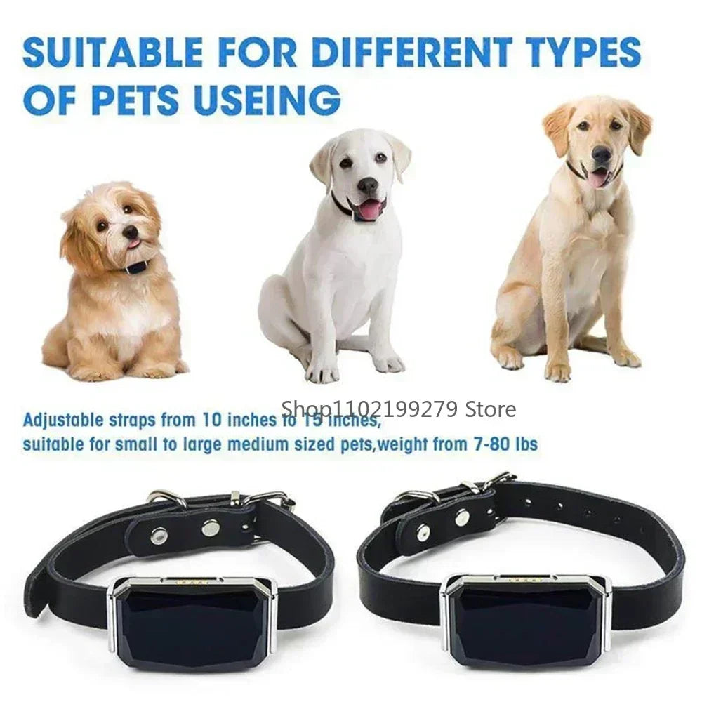 Pet GPS Tracker Collar