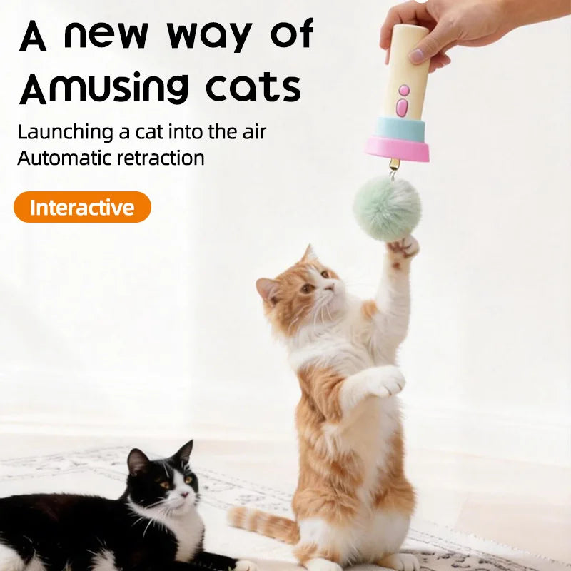 Electric Cat Teaser Toy