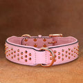 Studded Leather Dog Collar