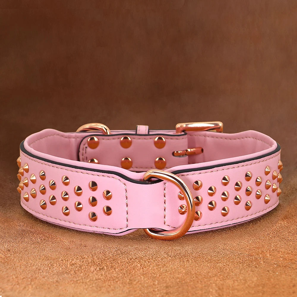 Studded Leather Dog Collar